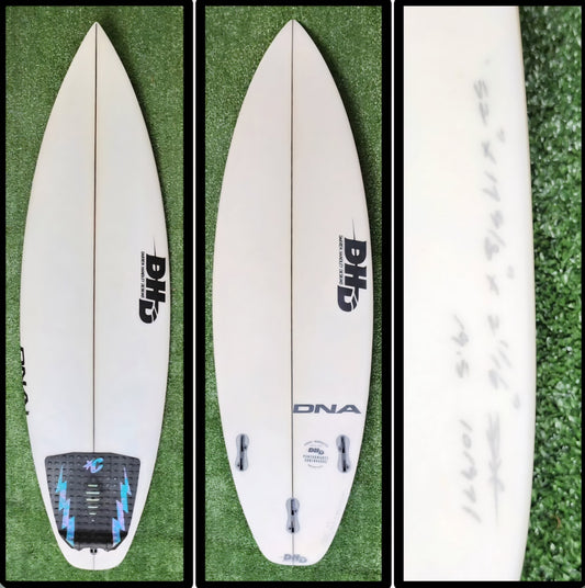 5'2 DHD DNA Model
