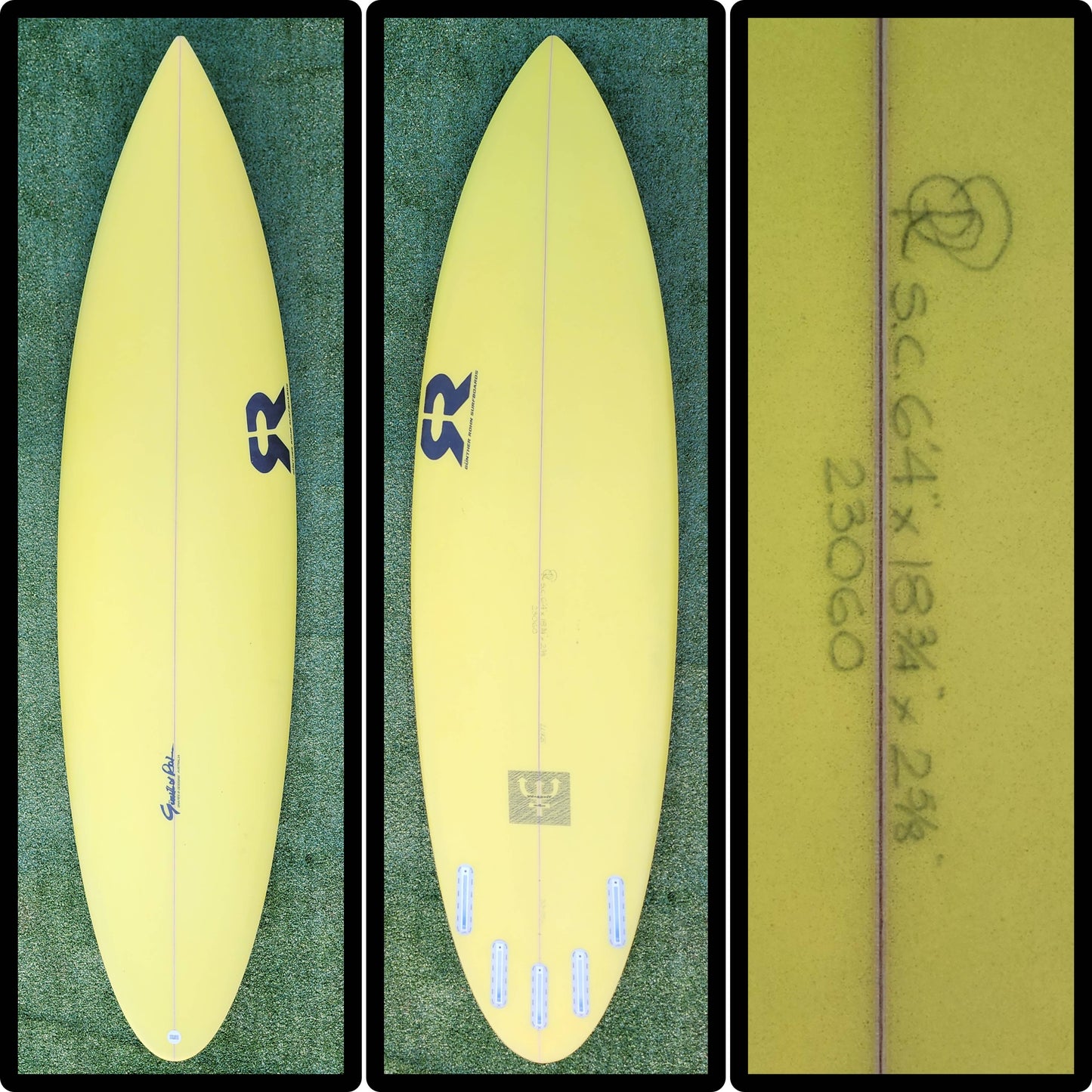 6'4 Guntherohn Walshy G4W Model
