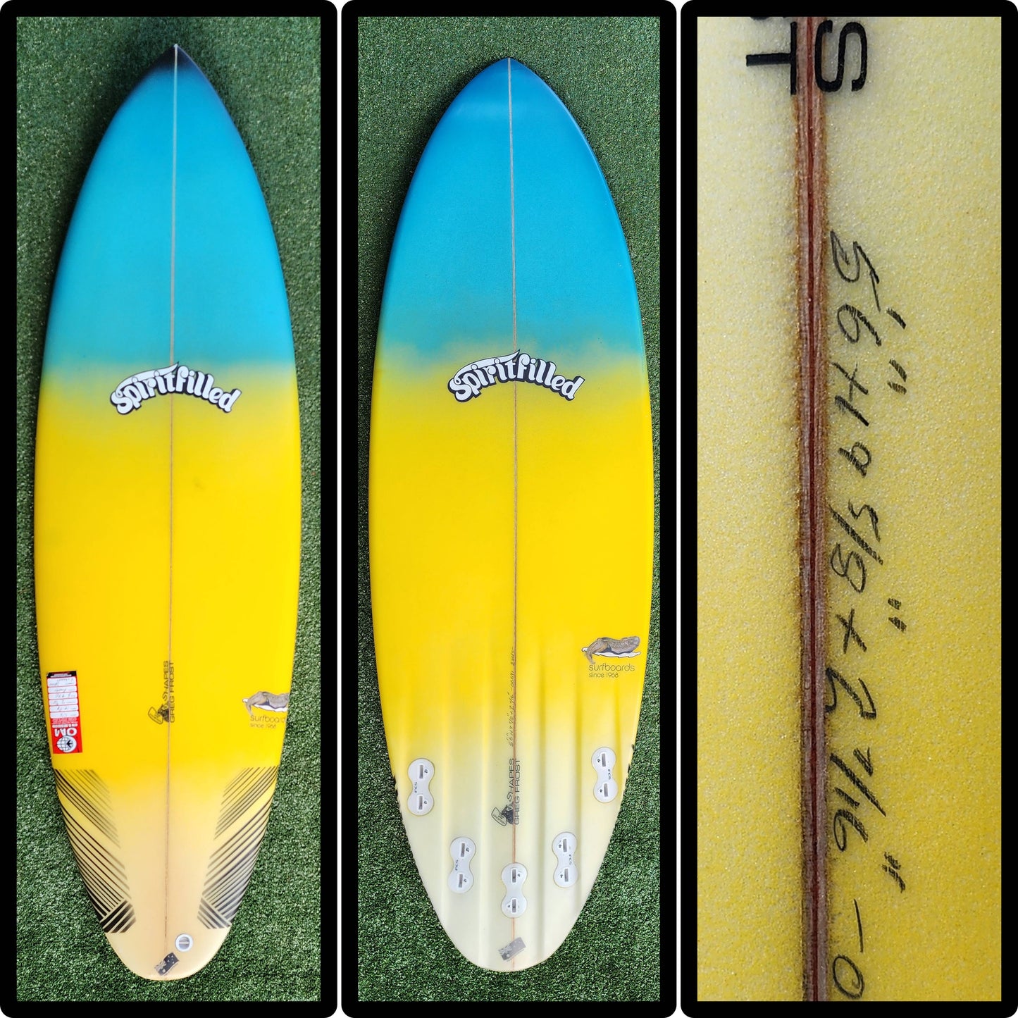 5'6 SFD Custom Model